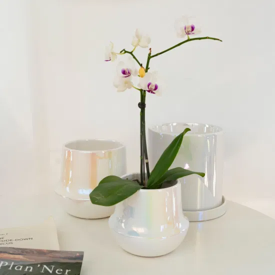 Produttore cinese Ins Amazon Vendita calda Decorazione di nozze Fioriere Vaso in ceramica Vaso per orchidee smaltato bianco perla